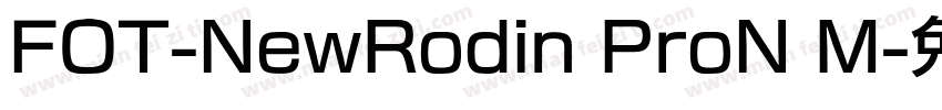 FOT-NewRodin ProN M字体转换